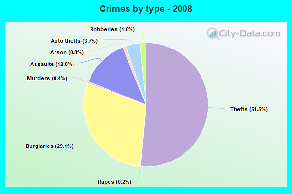 Crimes by type - 2008