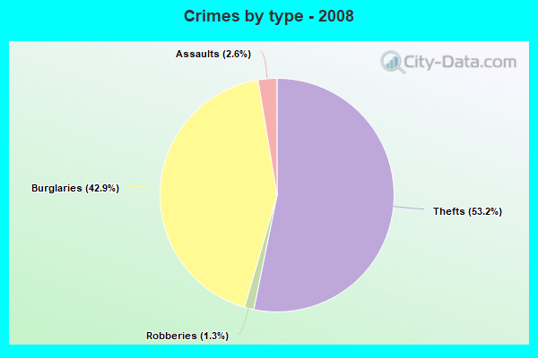 Crimes by type - 2008