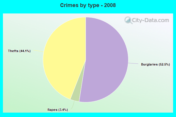 Crimes by type - 2008