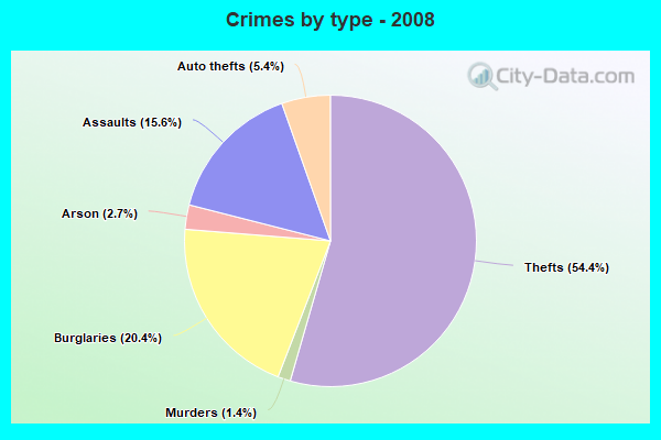 Crimes by type - 2008