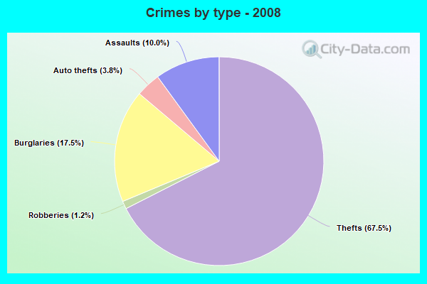 Crimes by type - 2008