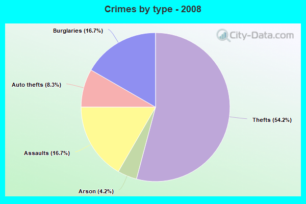 Crimes by type - 2008