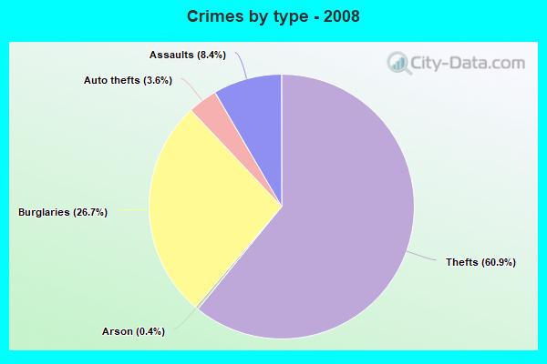 Crimes by type - 2008