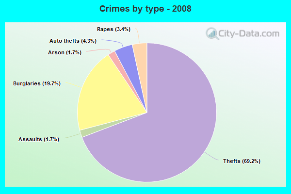 Crimes by type - 2008