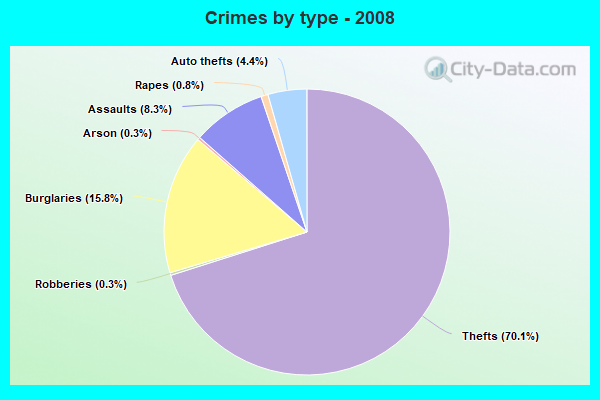 Crimes by type - 2008