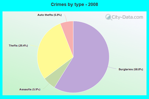 Crimes by type - 2008