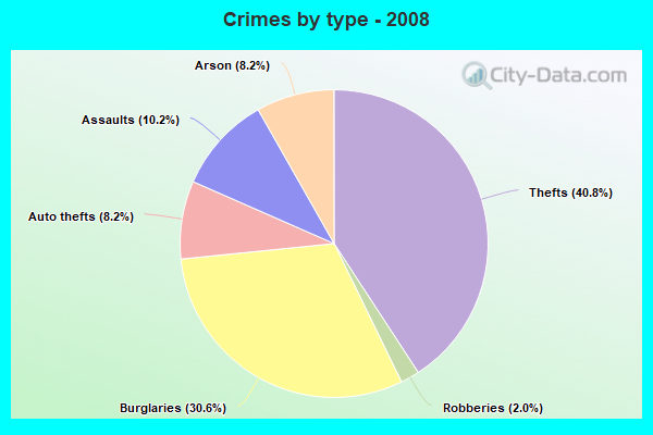 Crimes by type - 2008