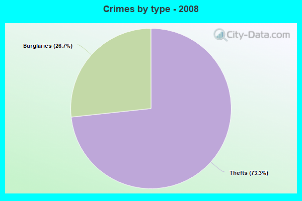 Crimes by type - 2008