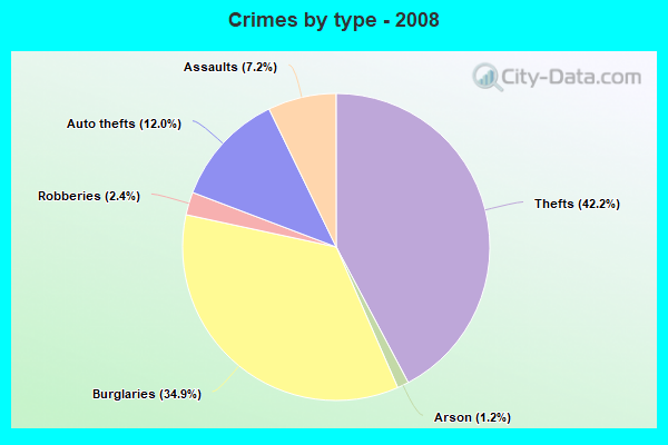 Crimes by type - 2008