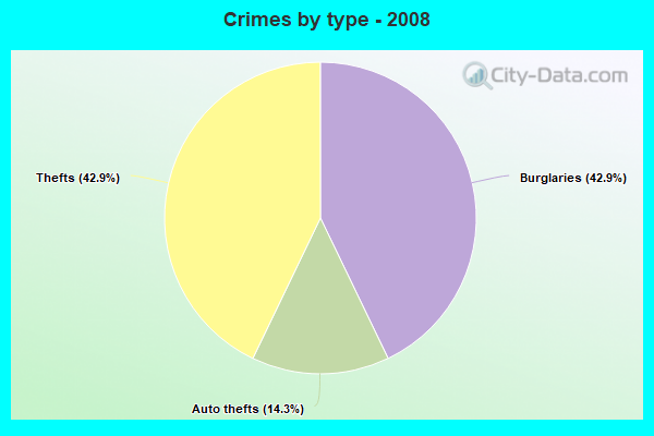 Crimes by type - 2008