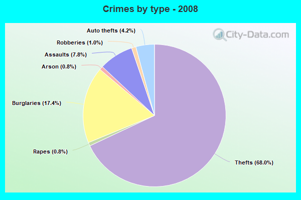 Crimes by type - 2008