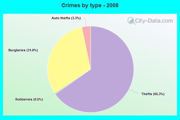 Crimes by type - 2008