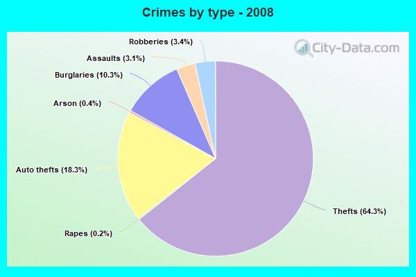 Crimes by type - 2008