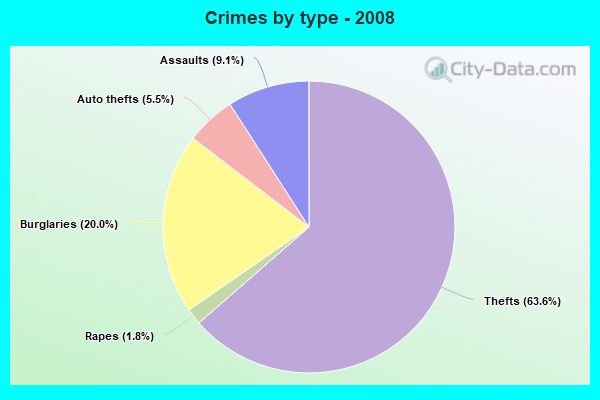 Crimes by type - 2008