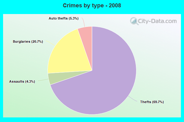 Crimes by type - 2008