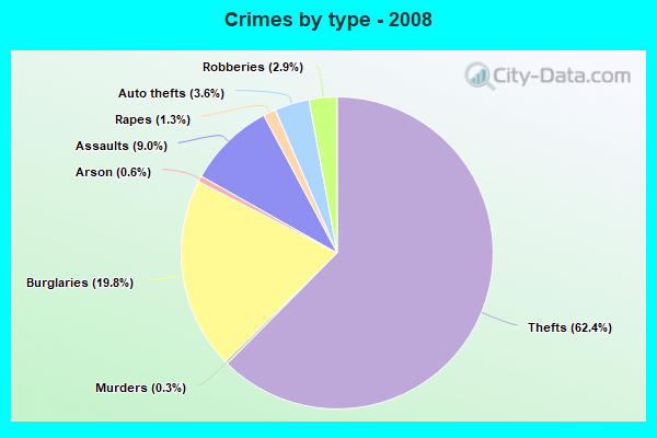 Crimes by type - 2008