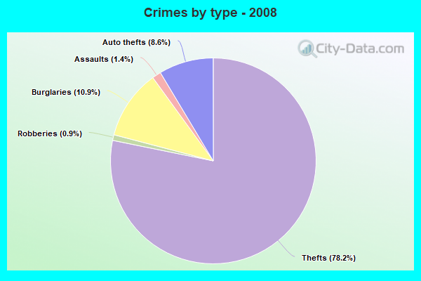 Crimes by type - 2008