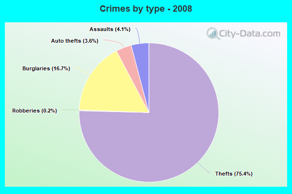 Crimes by type - 2008