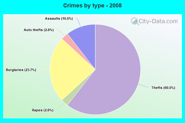 Crimes by type - 2008