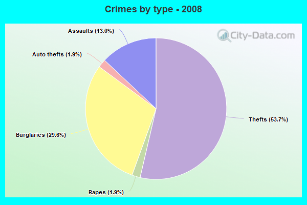 Crimes by type - 2008