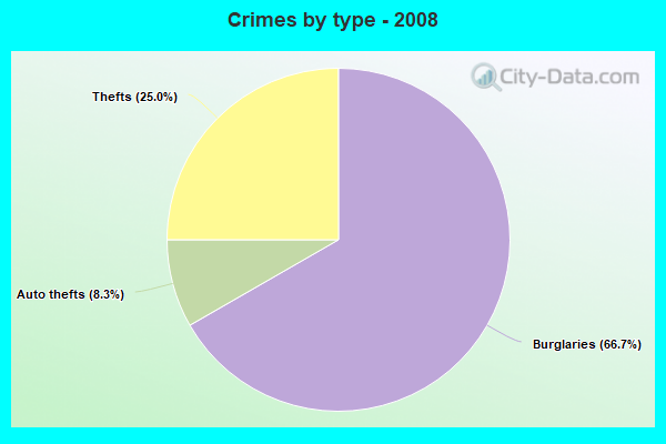 Crimes by type - 2008