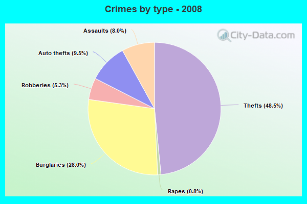 Crimes by type - 2008