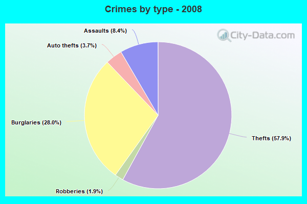 Crimes by type - 2008