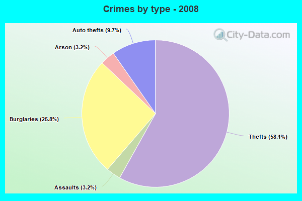 Crimes by type - 2008