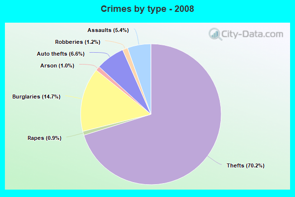 Crimes by type - 2008