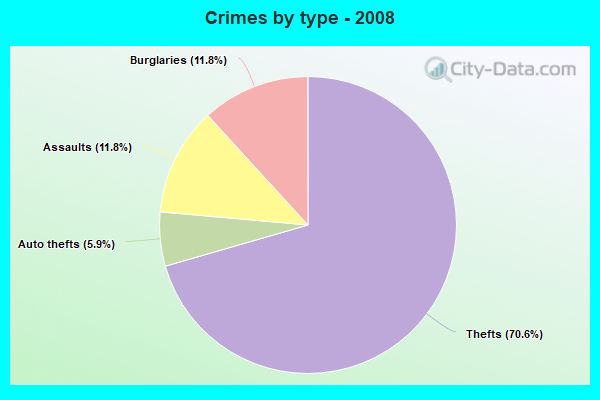 Crimes by type - 2008