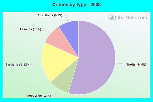 Crimes by type - 2008