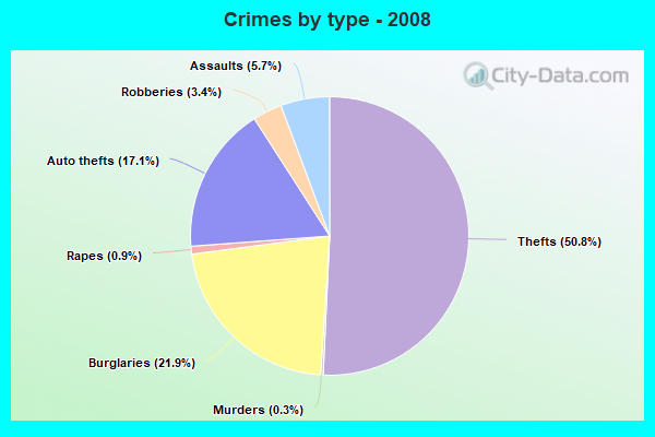 Crimes by type - 2008