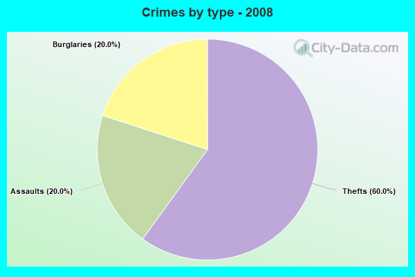 Crimes by type - 2008