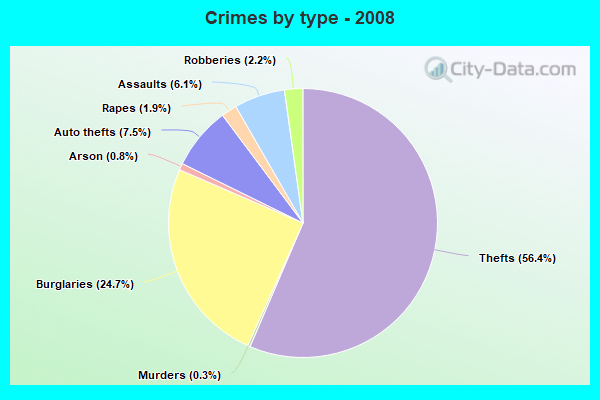 Crimes by type - 2008