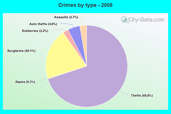 Crimes by type - 2008