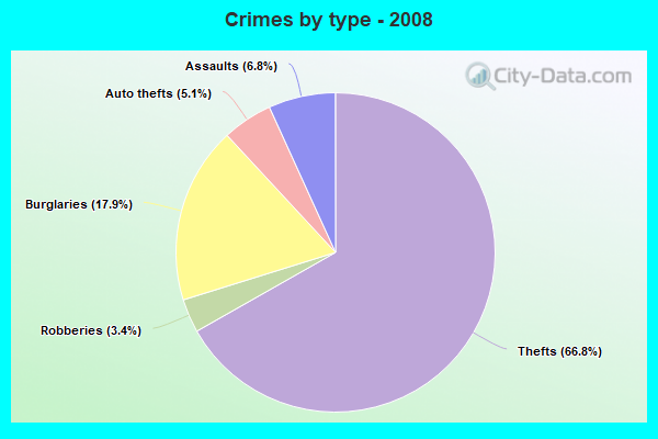 Crimes by type - 2008