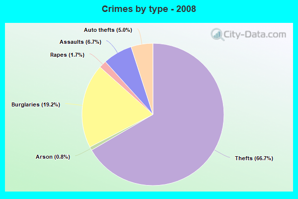 Crimes by type - 2008