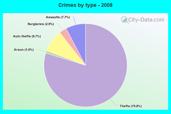 Crimes by type - 2008