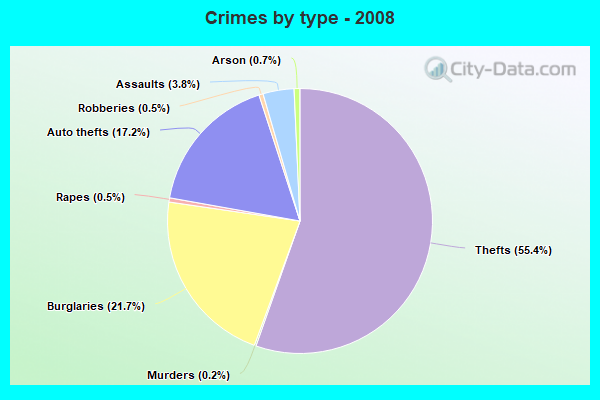 Crimes by type - 2008