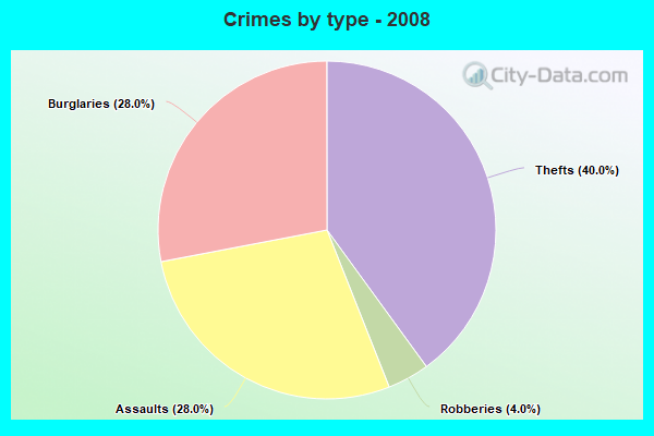 Crimes by type - 2008