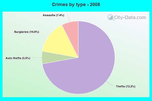 Crimes by type - 2008