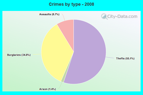 Crimes by type - 2008