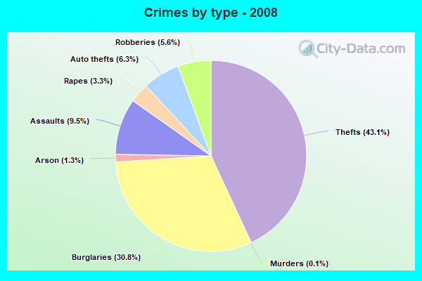 Crimes by type - 2008