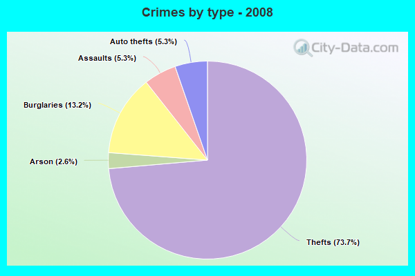 Crimes by type - 2008