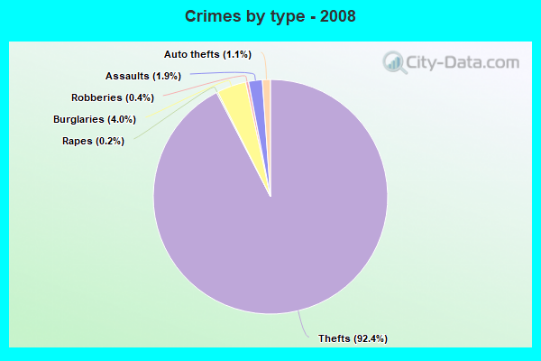 Crimes by type - 2008