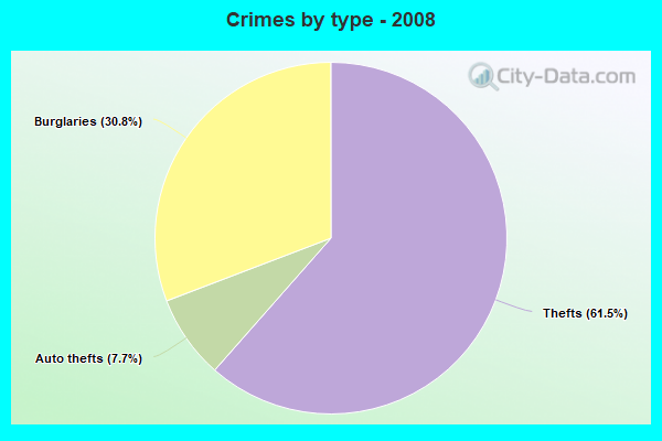 Crimes by type - 2008