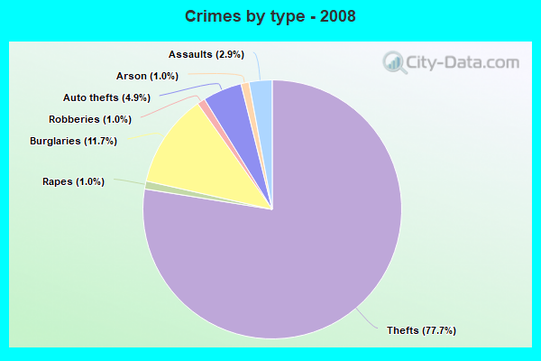 Crimes by type - 2008