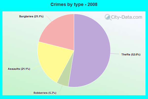 Crimes by type - 2008