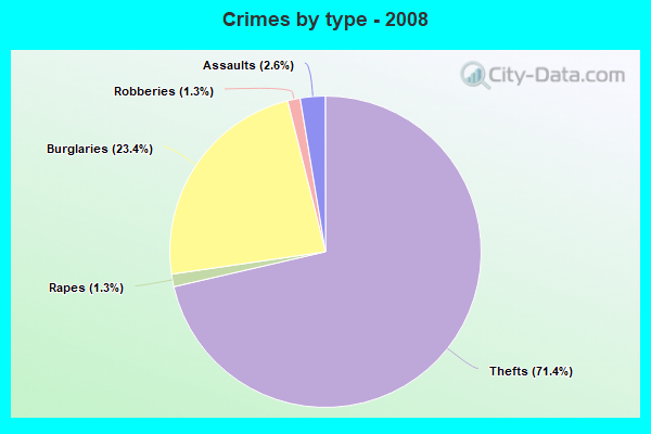 Crimes by type - 2008