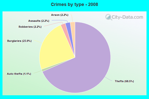 Crimes by type - 2008